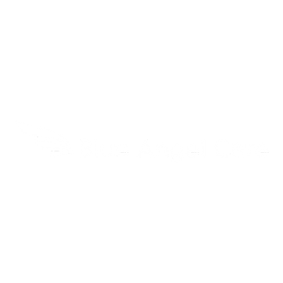 https://therapiesonthames.co.uk/hampshire/wp-content/uploads/sites/4/2023/03/Blue-Angel-Care-Partner-Logo.png